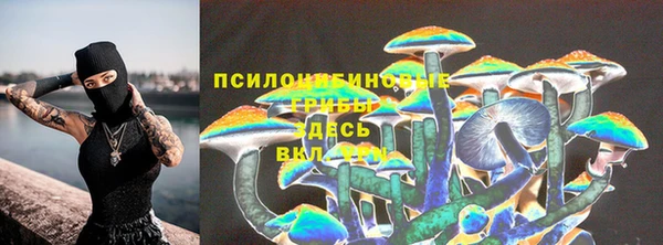 герыч Алзамай