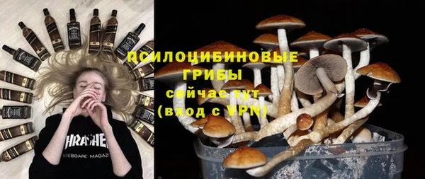 прущая мука Алексин