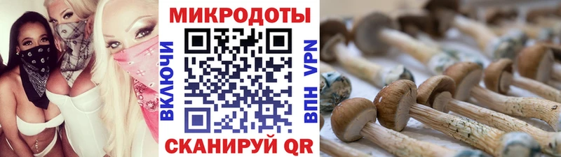 Псилоцибиновые грибы Magic Shrooms  Лермонтов 